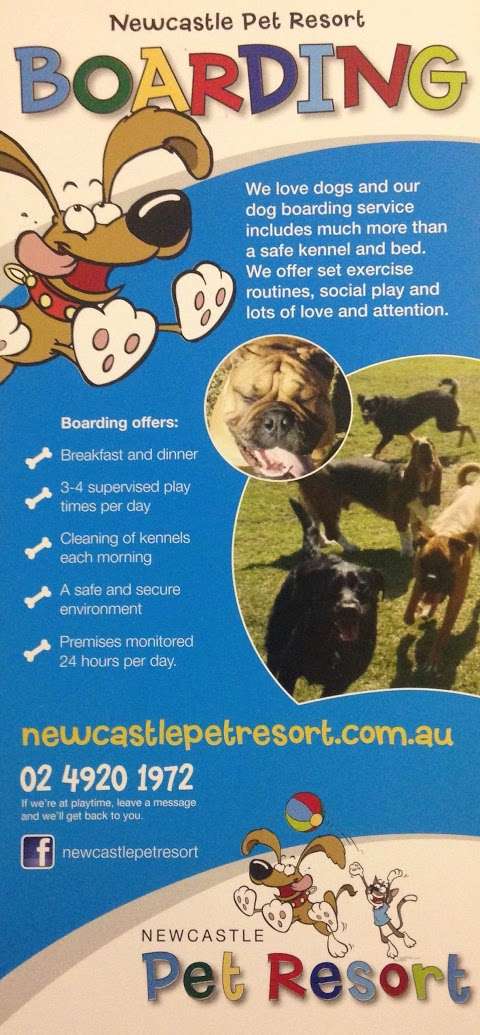 Photo: Newcastle Pet Resort